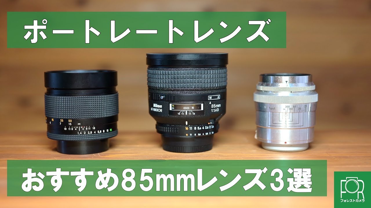 Nikon ニコン 1 NIKKOR 18.5mm F1.8 レンズ カメラ