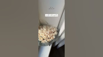 سورة الحجر بصوت هزاع البلوشي #قران#القرآن_الكريم#هزاع_البلوشي#سورة_الحجر  🤍
