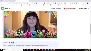 Students Providing Text Comments and Video Replies as Peer Feedback in Flipgrid