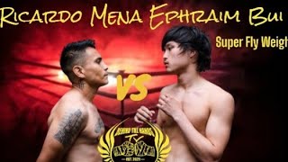 Ephraim Bui vs Ricardo Mena (Super Fly Weight)