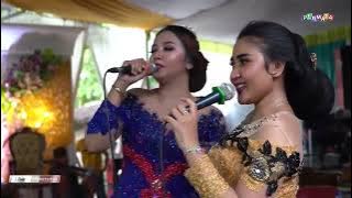 SUKET TEKI (Inna - Eva - Dika) ANANTA Music Trabas