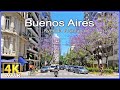 【4K】WALK Quintana Avenue BUENOS AIRES Argentina 4k video HDR