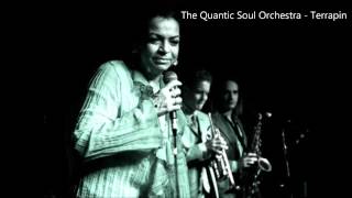 Video thumbnail of "The Quantic Soul Orchestra - Terrapin HD"