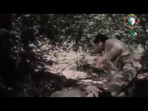 ال عص ا و ال عف يون