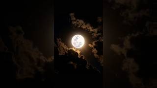 Full moon#natural  beauty #shorts#nature#shortsfeed#youtubeshorts#viralvideo#trendingshorts