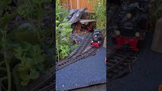 G Scale Garden Railway