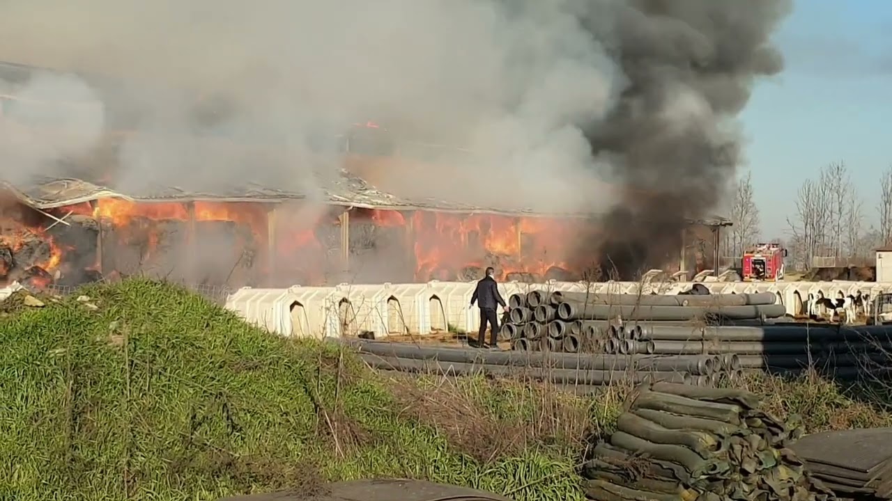 Incendio al Forcello, stalla in fiamme