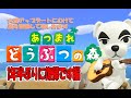 ※初見さん歓迎※　【あつまれ どうぶつの森】 ゆっくりと雑談枠ｗ　＃017