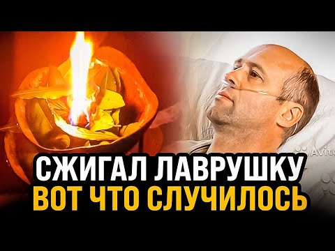 ЖГУТ и дышат! Просто посмотри что происходит от дыма лаврового листа. Лавровый лист