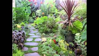 garden tropical creative peaceful place