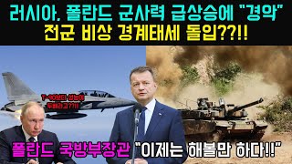 [해외반응]폴란드 국방력 급상승에 러시아 &quot;경악&quot;!!! 한국무기만 있으면 전면전도 해볼만하다!!! 폴란드 한국무기 싹쓸이한 상황