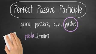 Perfect Passive Participles