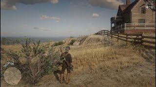 Red Dead Redemption 2 free aim 1v1s