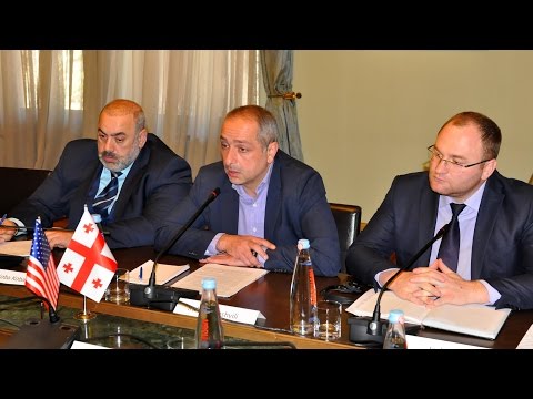 თავდაცვისა და უშიშროების კომიტეტის წევრების შეხვედრა ამერიკელ კონგრესმენებთან