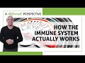 How the immune system actually works  a different perspective  episode 135