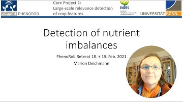 Detection of Nutrient Imbalances