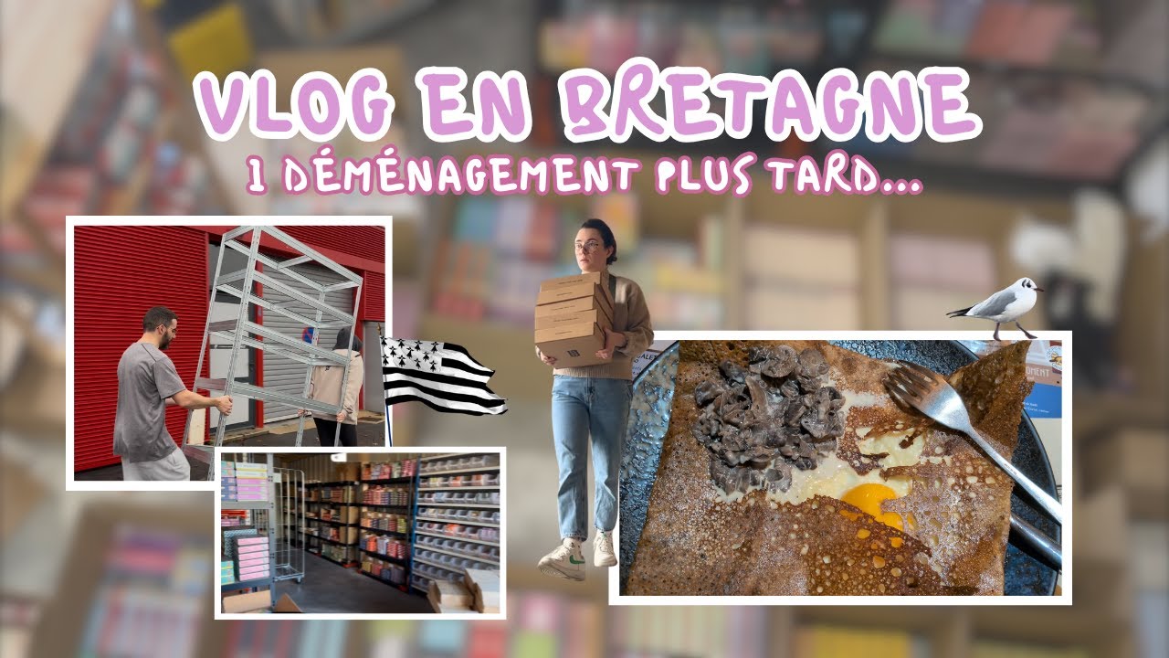 VLOG 2 SEMAINES 🧳 mon quotidien puzzles et déménagement de Trevell