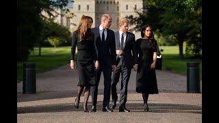 Prince Harry, Meghan join William and Kate on Windsor walkabout as King Charles greets dignitaries