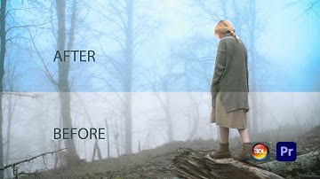 How to Color grading in Premier Pro | 3D luts