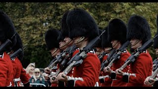 Royaume-Uni : une entreprise française va fournir la fourrure des chapeaux de la garde royale