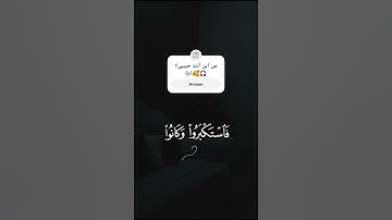 #اكتب_شي_تؤجر_عليه #القرآن_الكريم #المصحف #راحة_نفسية #تلاوة_هادئة #تلاوة_مميزة #ياسر_الدوسري