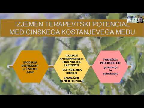 Terapevtski potencial kostanjevega medu