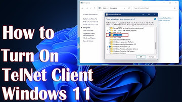 Enable Telnet Client On Windows 11- HowTo
