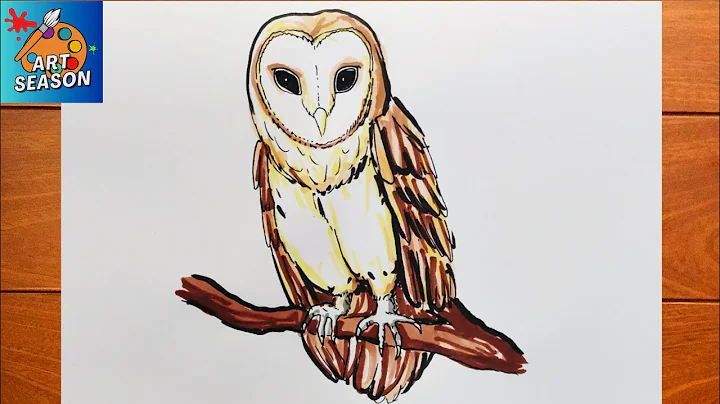 How to Draw a Barn Owl Step by Step