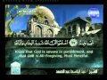 تلاوات عبد الباسط عبدالصمد سورة المائدة 97 108 Flv تلاوات عبد الباسط عبدالصمد سورة المائدة 97 108 Flv