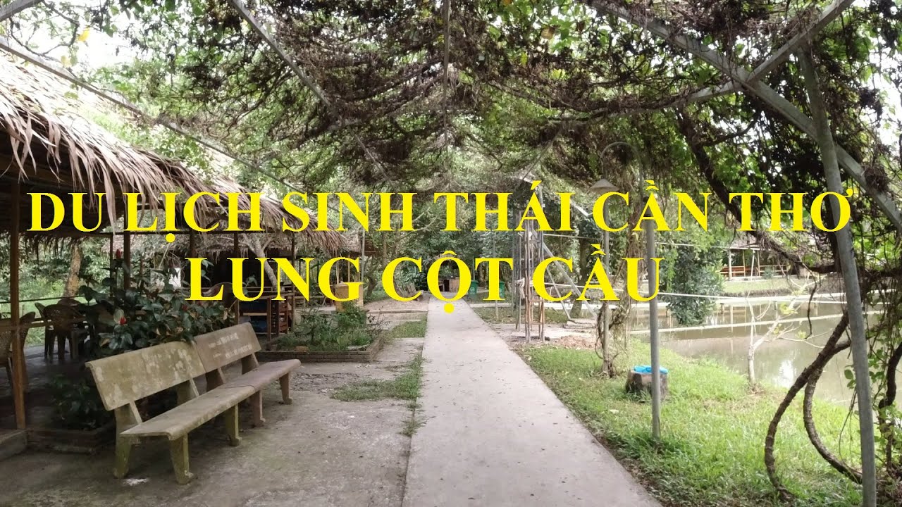 lung cột cầu cần thơ Update DU LỊCH SINH THÁI CẦN THƠ LUNG CỘT CẦU