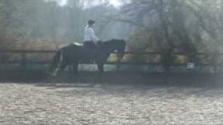 Flatwork Lesson on Murphy 13.2.09