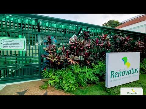 TOUR VIRTUAL pelo Colégio Renovatus