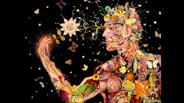 Terence Mckenna - Set And Setting, Surrendering Your Luggage During The Trip, Fear, Meditation