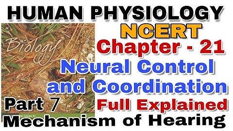 NCERT Ch-21 Neural Control and coordination Class XI Human Physiology Part 7 for Boards & NEET/AIIMS