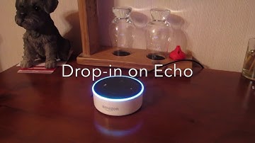Amazon Echo Drop in