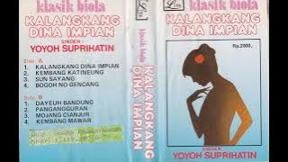 Yoyoh Supriatin - Kalangkang Dina Impian