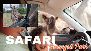 Serengeti Park Hodenhagen &quot;SAFARI Adventure in the middle of Europe&quot;