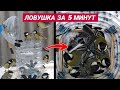 Ловушка для птиц из бутылки | Как сделать ловушку для голубя | Как поймать синиц