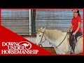 Clinton Anderson: Intermediate Testing, Riding Part 1 - Downunder Horsemanship