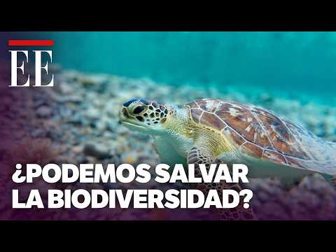 Do we have a chance to stop biodiversity loss? This is what the new Living Planet report says