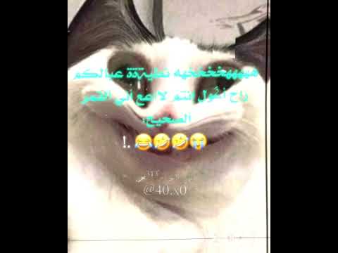 م تتت وإني أصمم ألف يدد 6 الهم صل على محمد وأل محمد الامام المهدي الامام علي الامام العباس