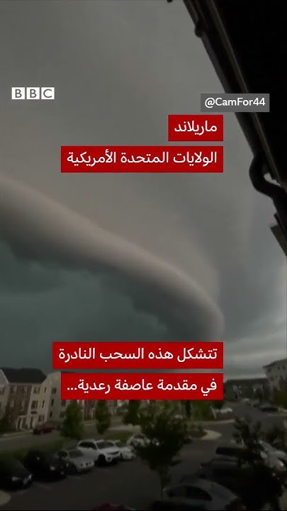 ...     
 - نشر قبل 10 دقيقة