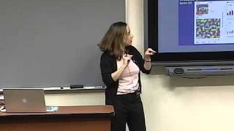 Contextual Effects in Primary Visual Cortex: Pathways and Mechanisms