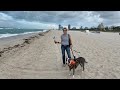 LIVE Miami Beach Gale Force Winds &amp; Exploring Lincoln Road w/Hudson the Dog February 4, 2023
