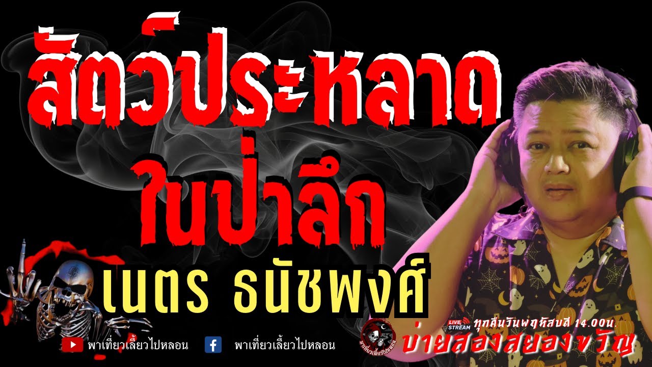 เรื่อง สัตว์ประหลาดในป่าลึก  - เนตร ธนัชพงศ์