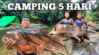 Camping Hujan Deras Dapat Rusa di Hutan Pertualangan Fishing camp bermalam di hutan masak dan makan