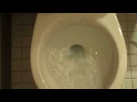 Video: Hvorfor skyller toiletter baglæns i Australien?