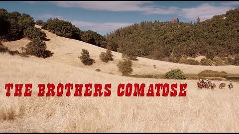 The Brothers Comatose - "Cedarwood Pines" (Official Video)