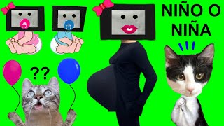 Baby shower de Tv woman embarazada de skibidi toilet 165 / Videos de gatos Luna y Estrella