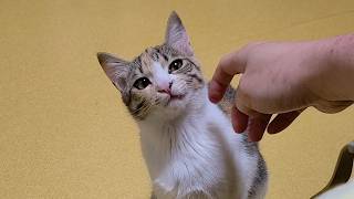 내가 널 어떻게 키웠는데